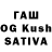 Канабис White Widow Murat Burhanov