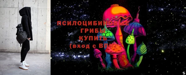 ГАЛЛЮЦИНОГЕННЫЕ ГРИБЫ Белокуриха