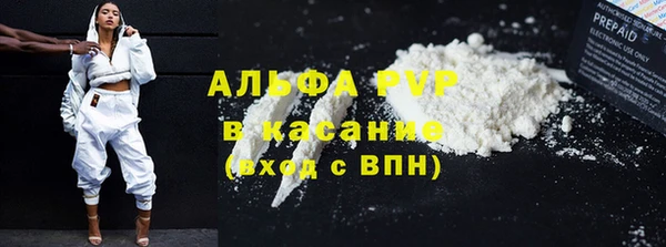 ГАЛЛЮЦИНОГЕННЫЕ ГРИБЫ Белокуриха