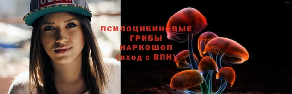 ГАЛЛЮЦИНОГЕННЫЕ ГРИБЫ Белоозёрский