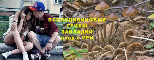 ГАЛЛЮЦИНОГЕННЫЕ ГРИБЫ Белокуриха