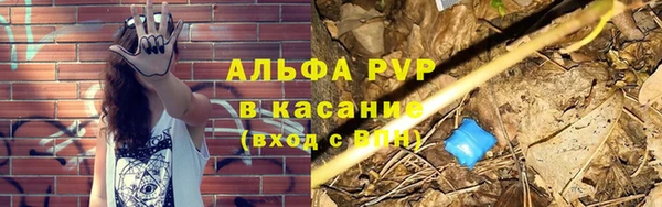 ГАЛЛЮЦИНОГЕННЫЕ ГРИБЫ Белоозёрский