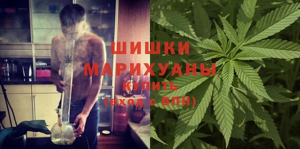 ГАЛЛЮЦИНОГЕННЫЕ ГРИБЫ Белоозёрский
