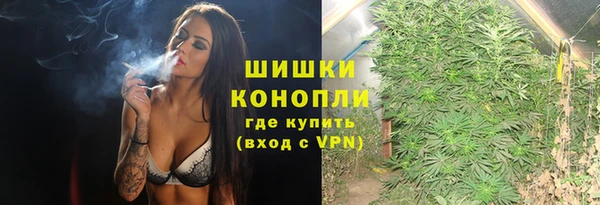 ГАЛЛЮЦИНОГЕННЫЕ ГРИБЫ Белокуриха