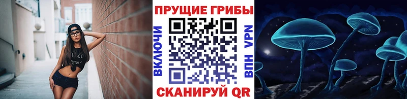 Галлюциногенные грибы GOLDEN TEACHER  KRAKEN сайт  маркетплейс формула  Велиж 